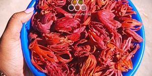 Red Fullflower Nutmace