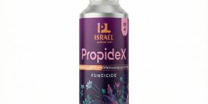 Propidex Systemic Fungicide