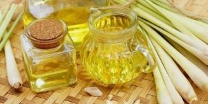 Lemon Grass Oil
