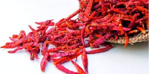 Stemless Birds Eye Chilli
