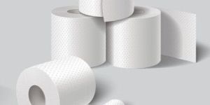 2 Ply Virgin Paper Toilet Roll