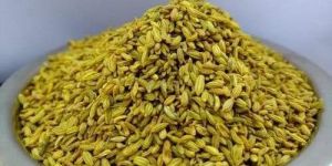 roasted fennel seed mouth freshener
