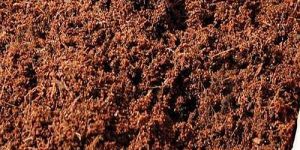 High Nutrient Vermicompost Powder