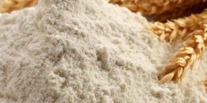 Organic Wheat Flour