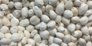 White Artificial Jasmine Flowers Buds