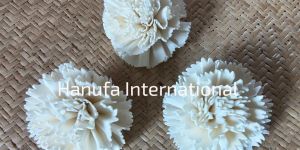 Handmade White Sola Flowers