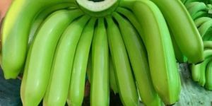 Fresh G9 Green Banana