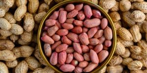 Groundnut Peanuts
