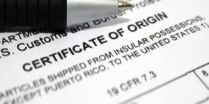 Chille Certificate Consultancy Service