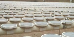 Silicone Disc Fine Bubble Diffuser