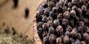 Black Pepper
