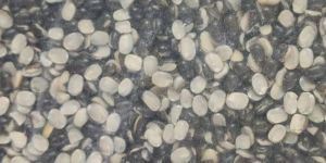 Split Black Urad Dal