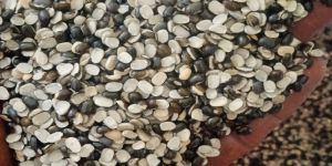 Split Green Moong Dal