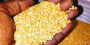 Split Yellow Moong Dal