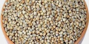 Unpolished Pearl Millets