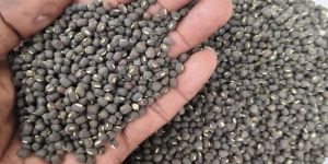 Whole Black Urad Dal