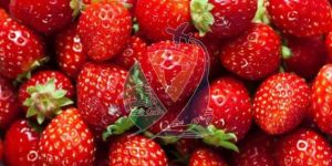 Fresh Red Strawberry