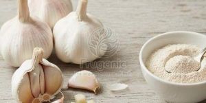 Garlic Powder
