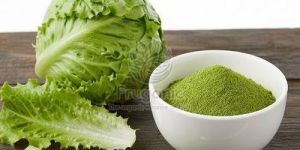 Spray Dried Lettuce Powder