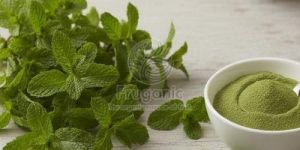 Spray Dried Mint Powder