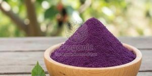 Spray Dried Mulberry Powder