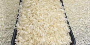 Swarna Rice