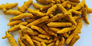 Salem Turmeric Gold (Curcumin 2.5-3.5%)