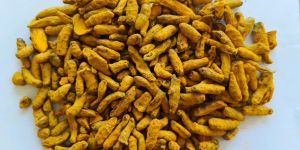 Salem Turmeric Grade C ( Curcumin 2.0-3.0%)