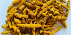 Salem Turmeric Premium ( Curcumin 2.5 - 3.5%)