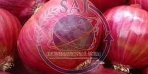 55mm Export Quality Nashik Red Onion