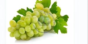 a Grade Fresh Green Grapes