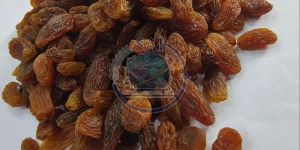 Organic Brown Dried Raisin