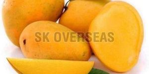Fresh Alphonso Mango