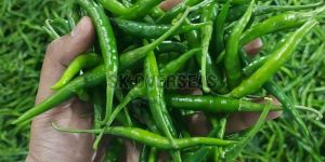 Fresh Green Chilli