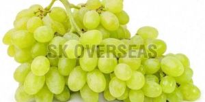 Fresh Green Grapes