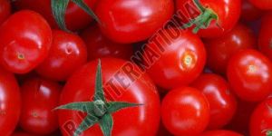 Fresh Red Tomato