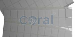 1x0.75 Inch Coral White Label Sticker Sheet