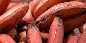 Fresh Red Banana