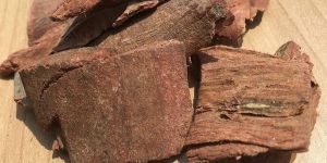 Dried Arjuna Bark