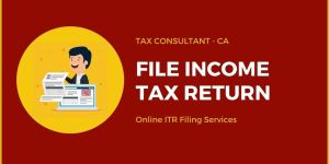 Income Tax Return Filing Service