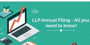 LLP Compliance and Annual Filing Service