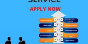 Llp Registration Service