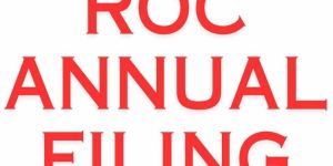 ROC Annual Filing Service