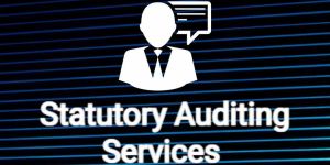 Statutory Financial Audit Service