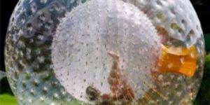 PVC Inflatable Zorbing Ball