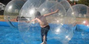 Transparent Water Walking Roller