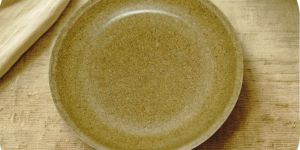 8 Inch Plain Biodegradable Dinner Plate