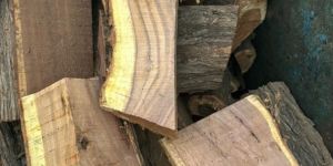 Babool Boiler Firewood