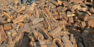 Firewood Kikar Gutka