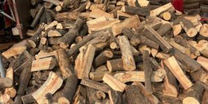 Firewood Logs Dry